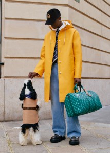 Louis Vuitton, pre spring 2025, mens, collection, Pharrell Williams, LV Lovers, dogs, Dalmatian print, Dalmatians, menswear, mens shoes, designer shoes