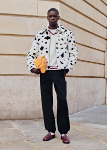 Louis Vuitton, pre spring 2025, mens, collection, Pharrell Williams, LV Lovers, dogs, Dalmatian print, Dalmatians, menswear, mens shoes, designer shoes