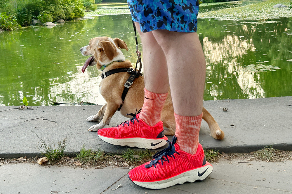 close up of bright red sneakers with dog in background 